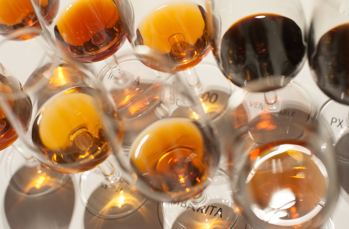 Glasses showing different styles of Sherry